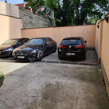 Apolon Újvidék