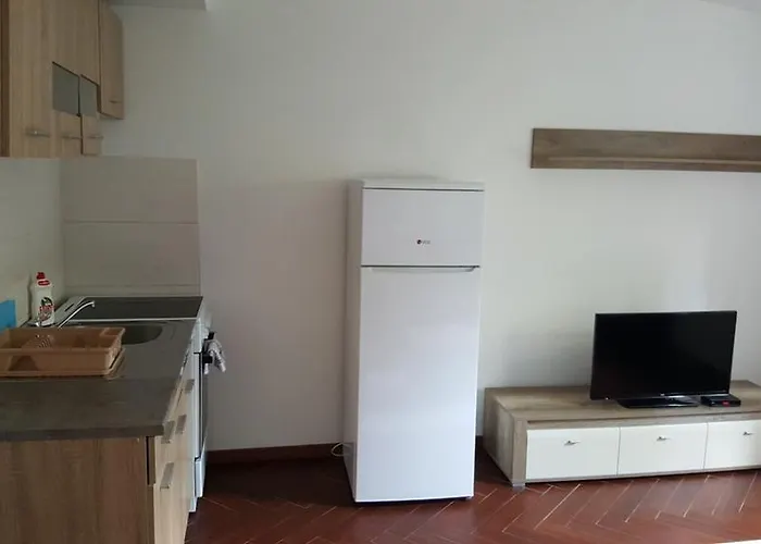 Apolon * נובי סאד