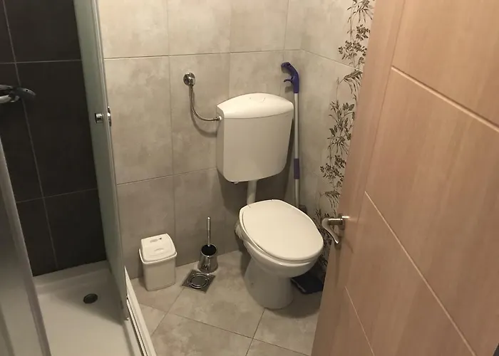 Apolon * נובי סאד