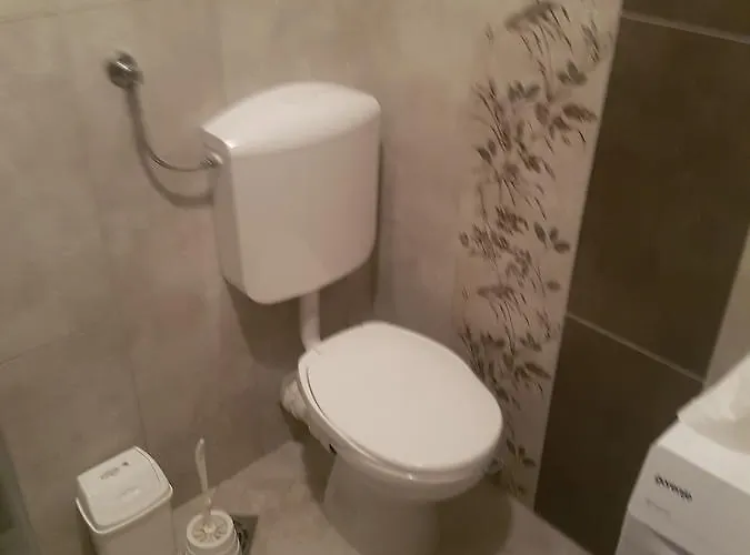 Apolon נובי סאד