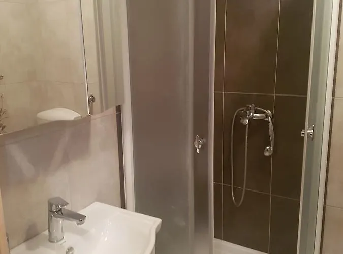 Apolon נובי סאד