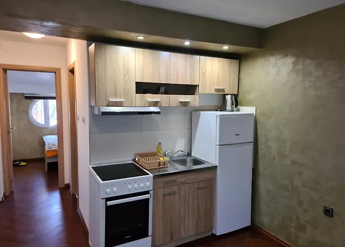 Apolon * נובי סאד