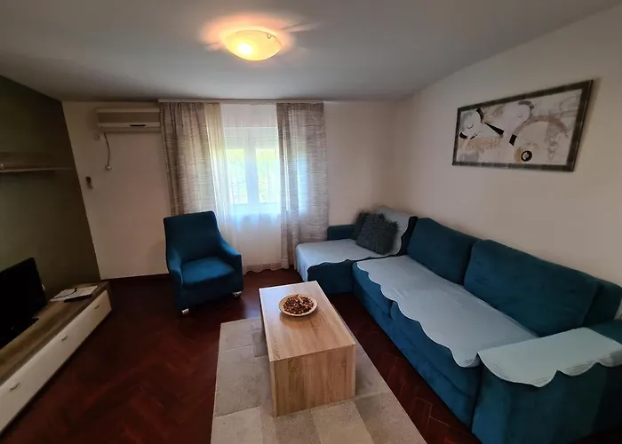 Apolon נובי סאד