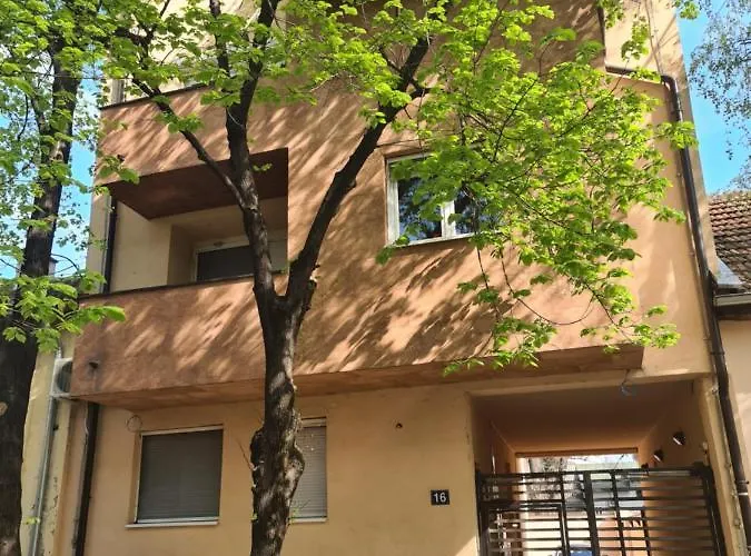 Apolon נובי סאד